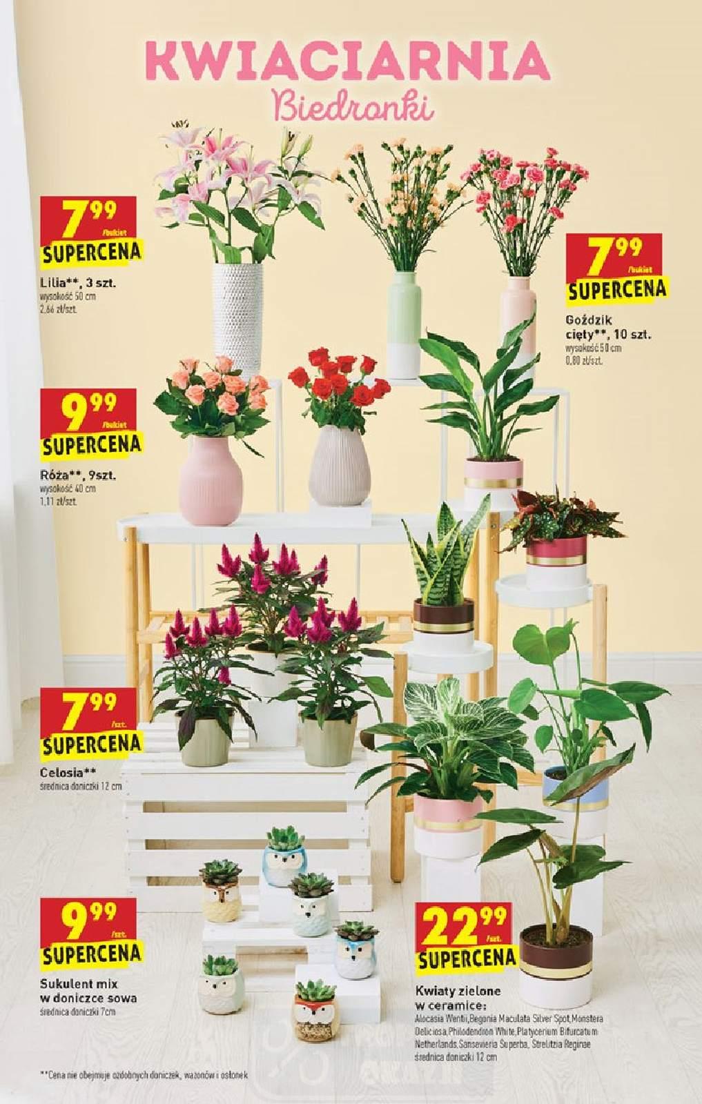 Gazetka promocyjna Biedronka str. 61