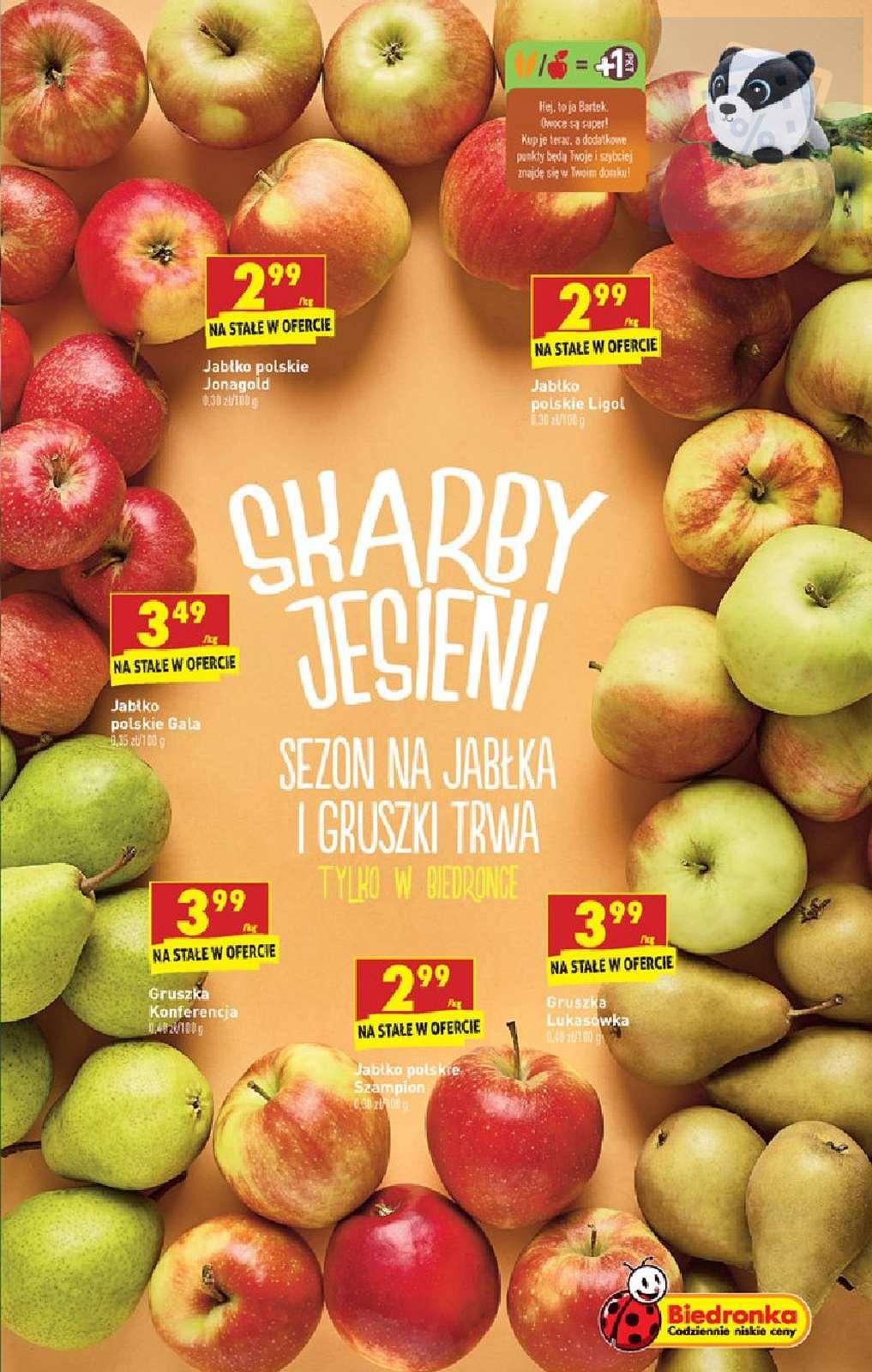 Gazetka promocyjna Biedronka str. 9