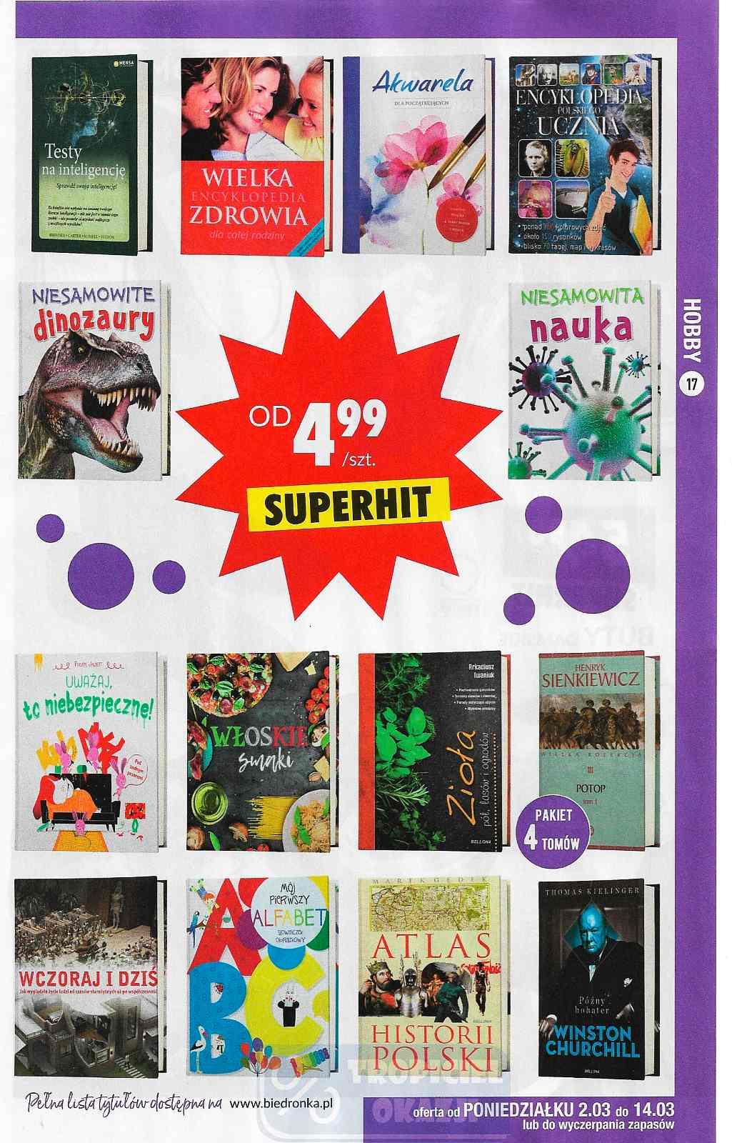 Gazetka promocyjna Biedronka str. 17