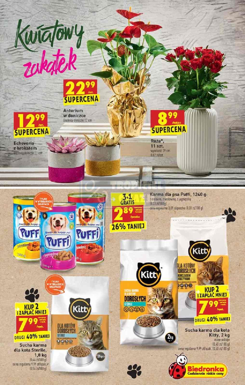 Gazetka promocyjna Biedronka str. 43