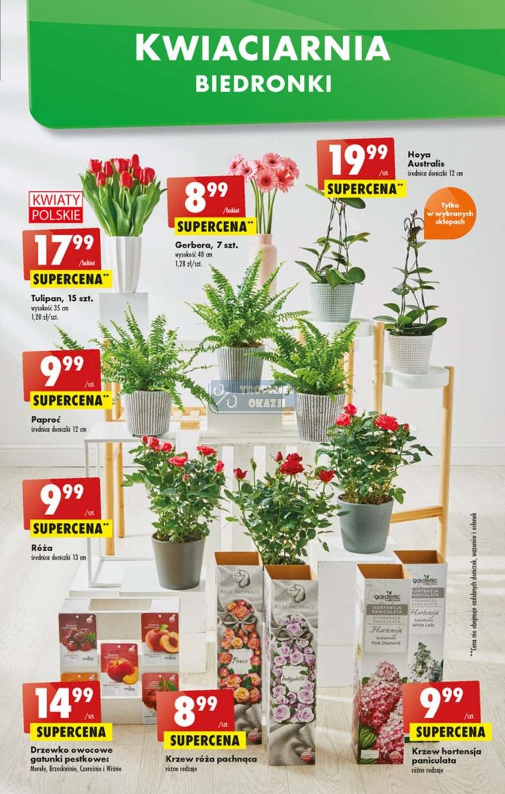 Gazetka promocyjna Biedronka str. 9