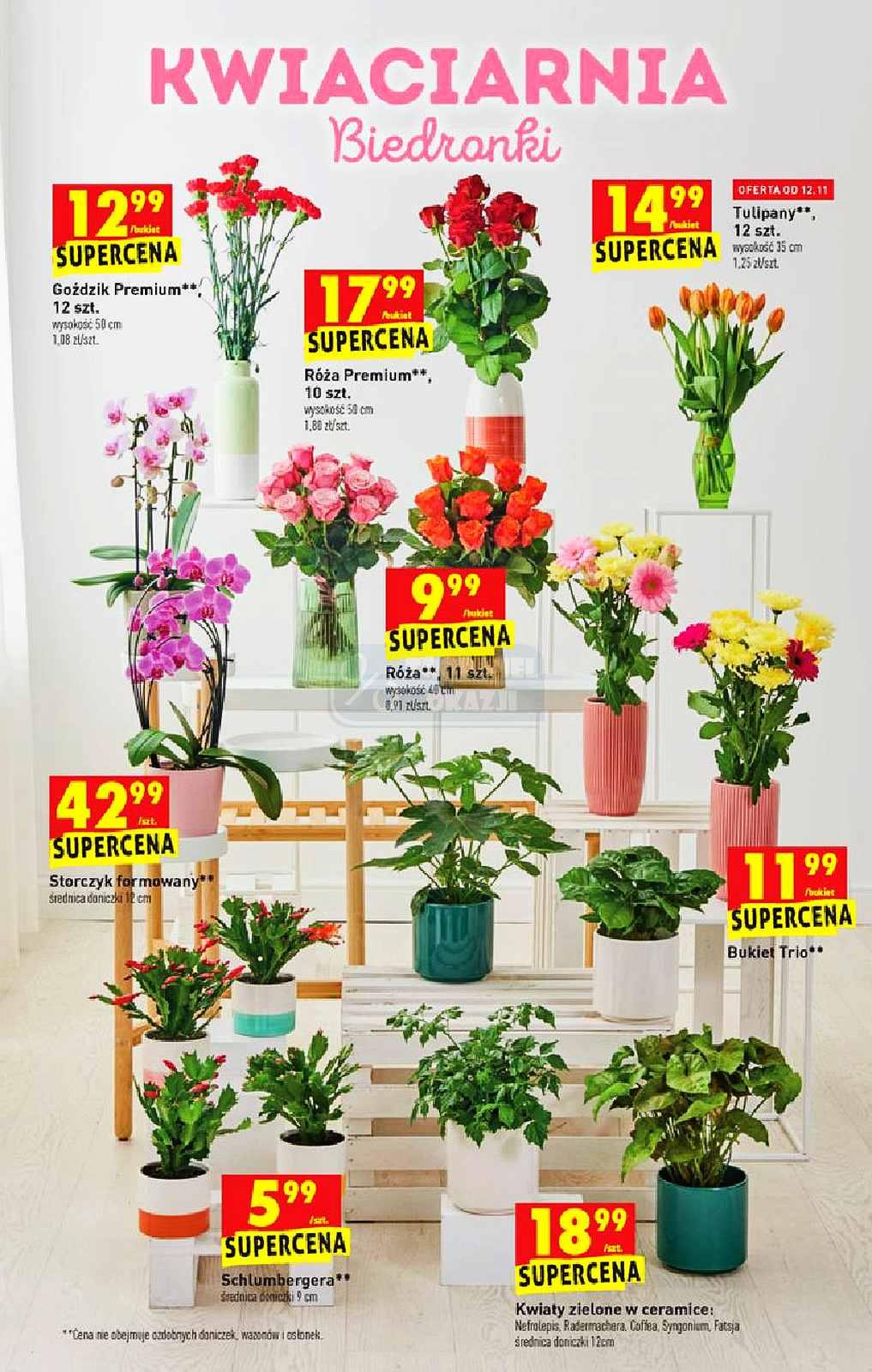 Gazetka promocyjna Biedronka str. 15