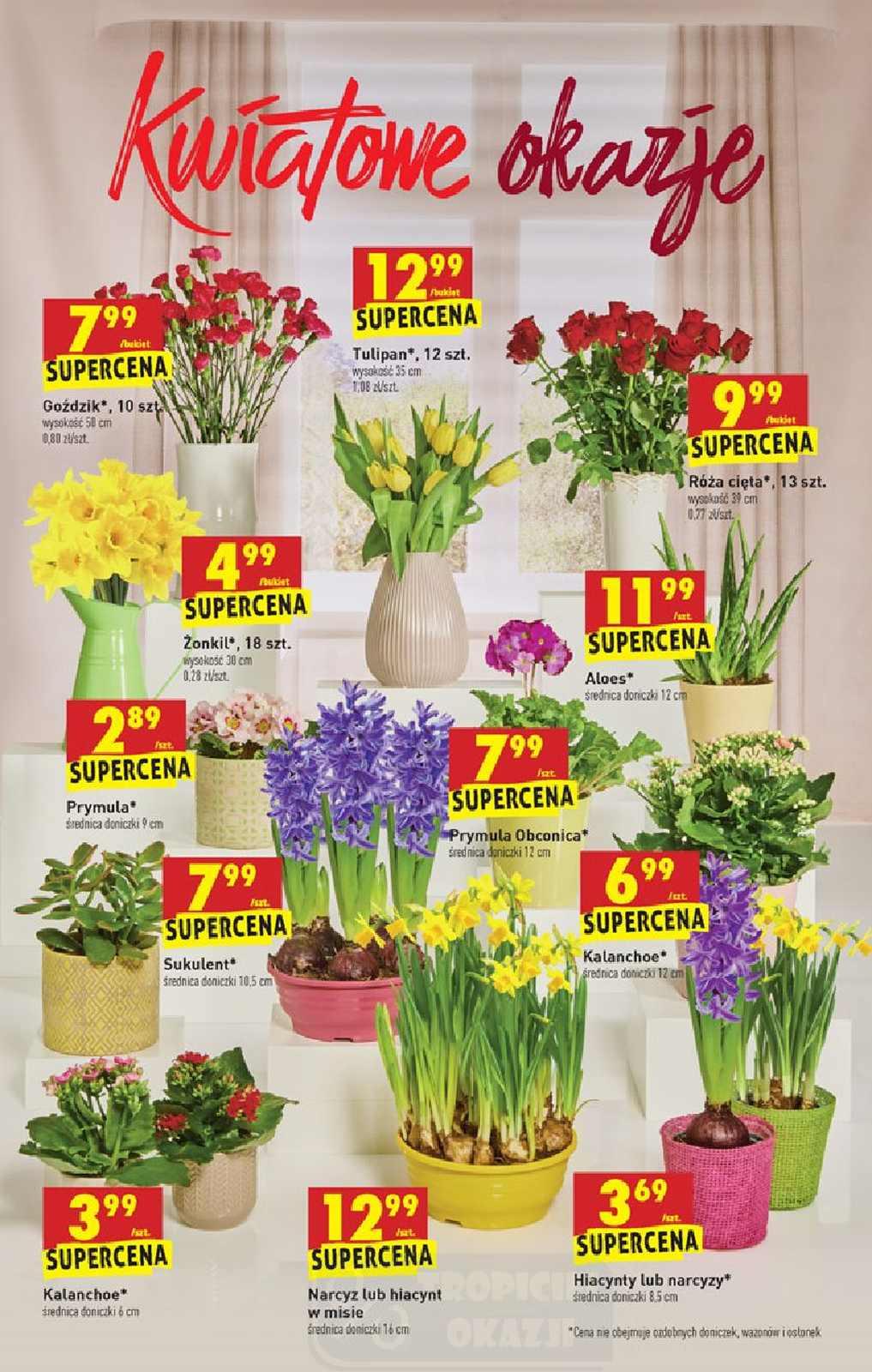 Gazetka promocyjna Biedronka str. 56