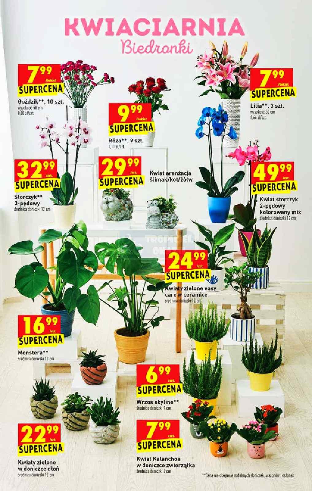 Gazetka promocyjna Biedronka str. 13