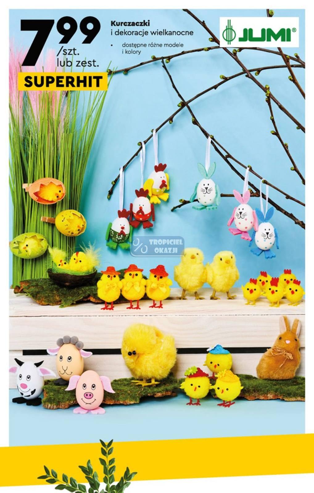 Gazetka promocyjna Biedronka str. 10