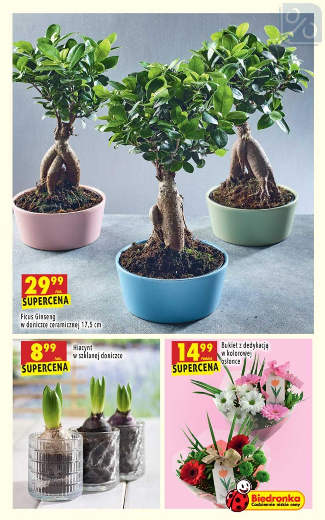 Gazetka promocyjna Biedronka str. 61