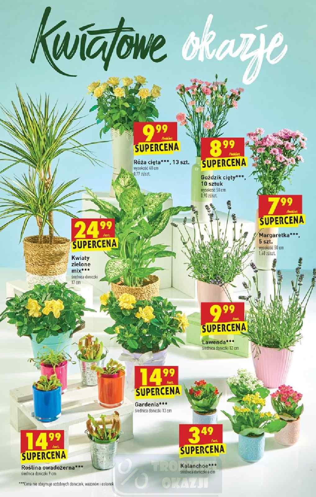 Gazetka promocyjna Biedronka str. 47