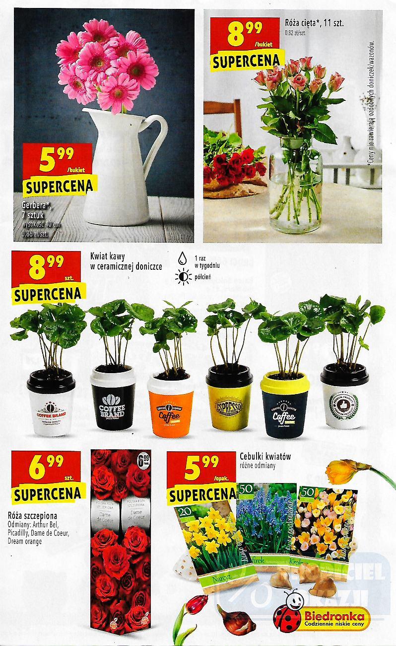 Gazetka promocyjna Biedronka str. 37