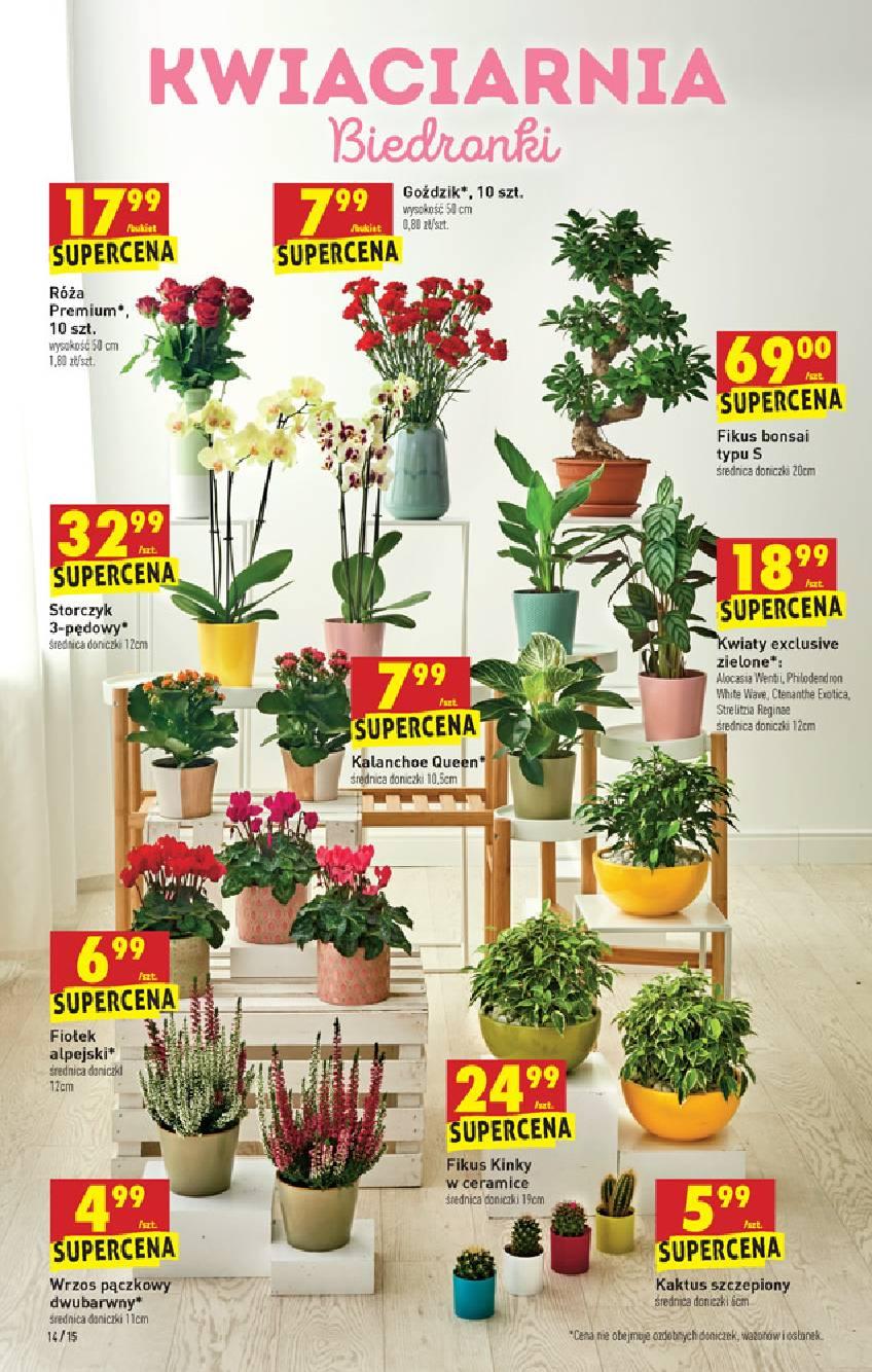 Gazetka promocyjna Biedronka str. 14
