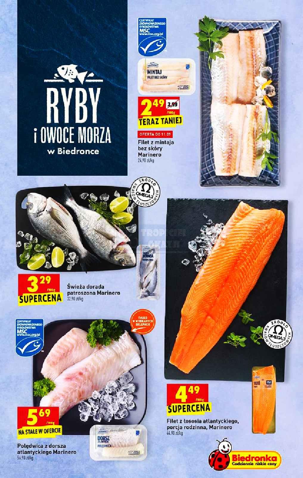 Gazetka promocyjna Biedronka str. 21