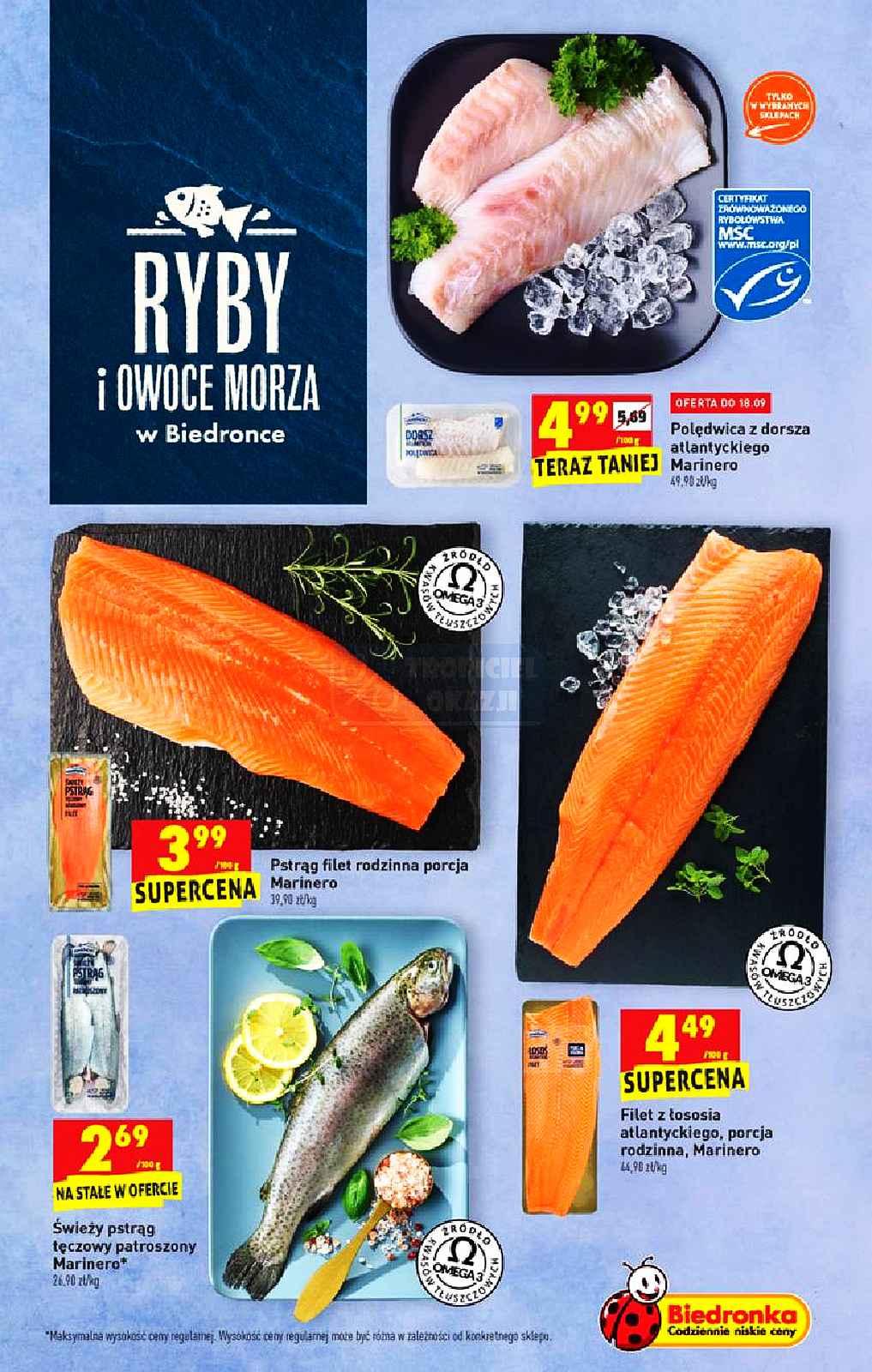 Gazetka promocyjna Biedronka str. 21