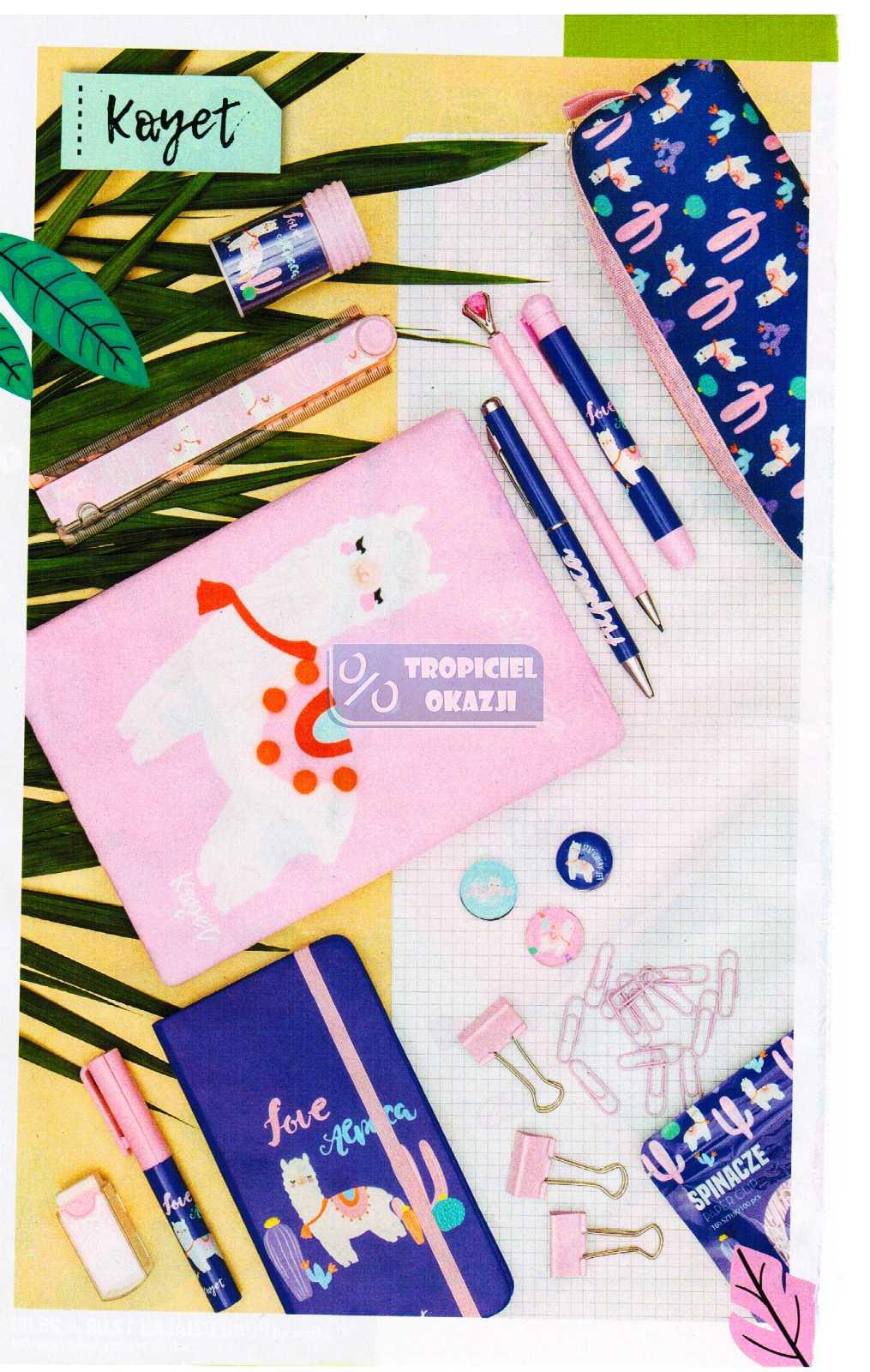 Gazetka promocyjna Biedronka str. 8