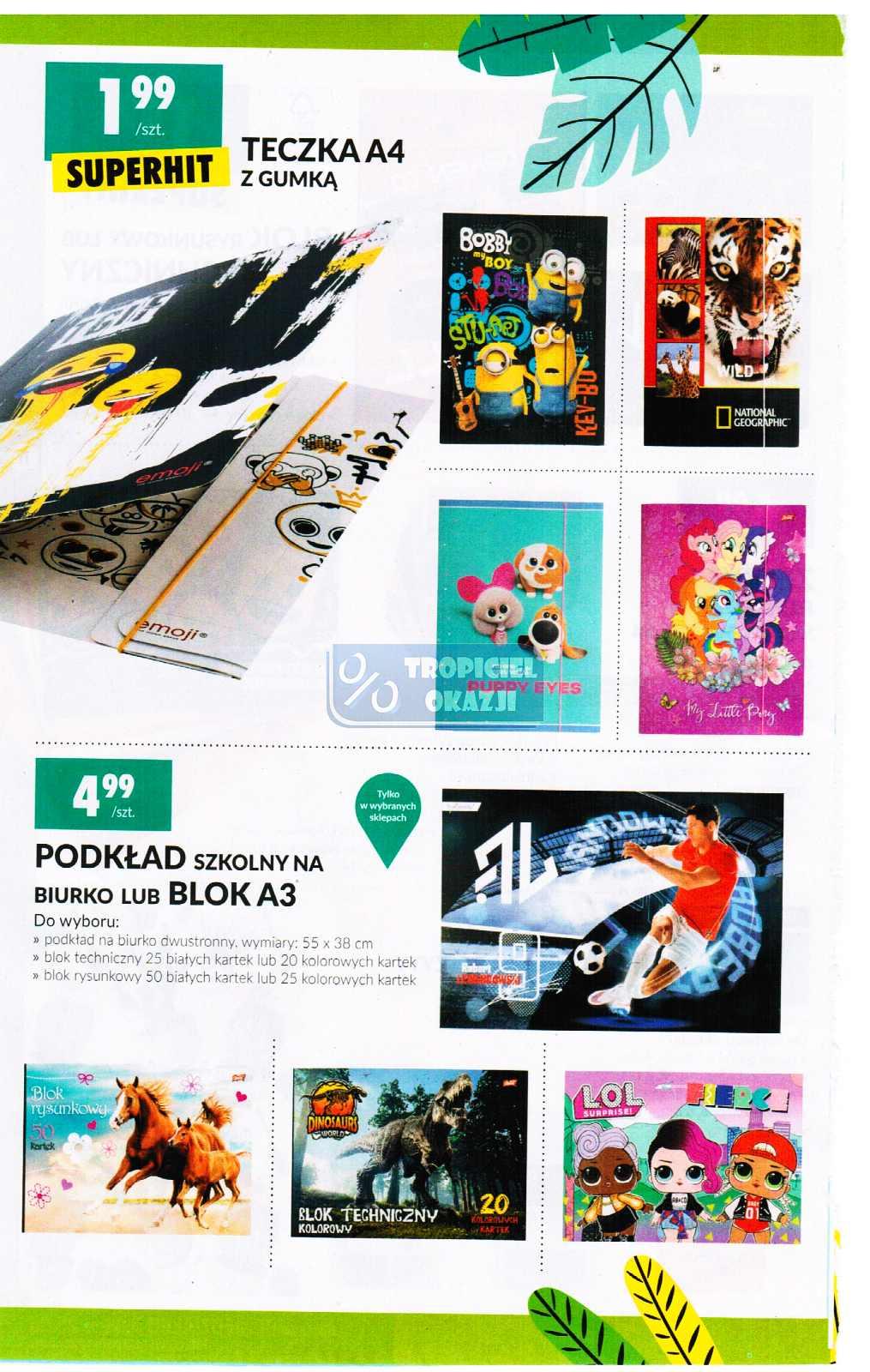 Gazetka promocyjna Biedronka str. 18